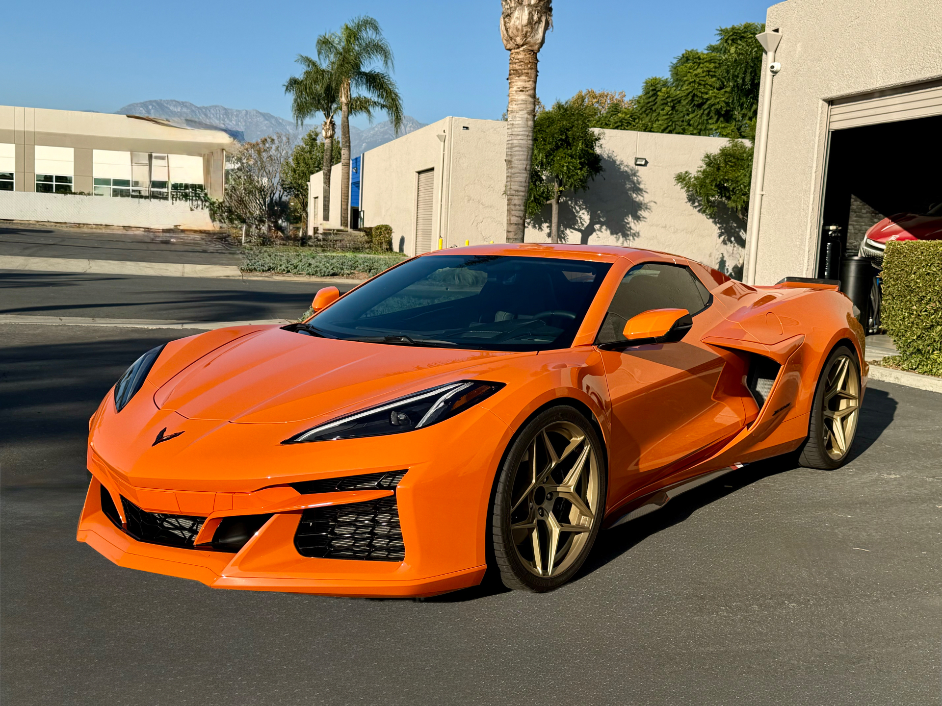 Corvette E-Ray — Polarizado premium